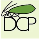 DCP